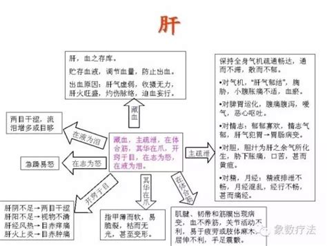 八卦象數眼睛|象數療法基礎：五臟六腑的生理病理與八卦象數